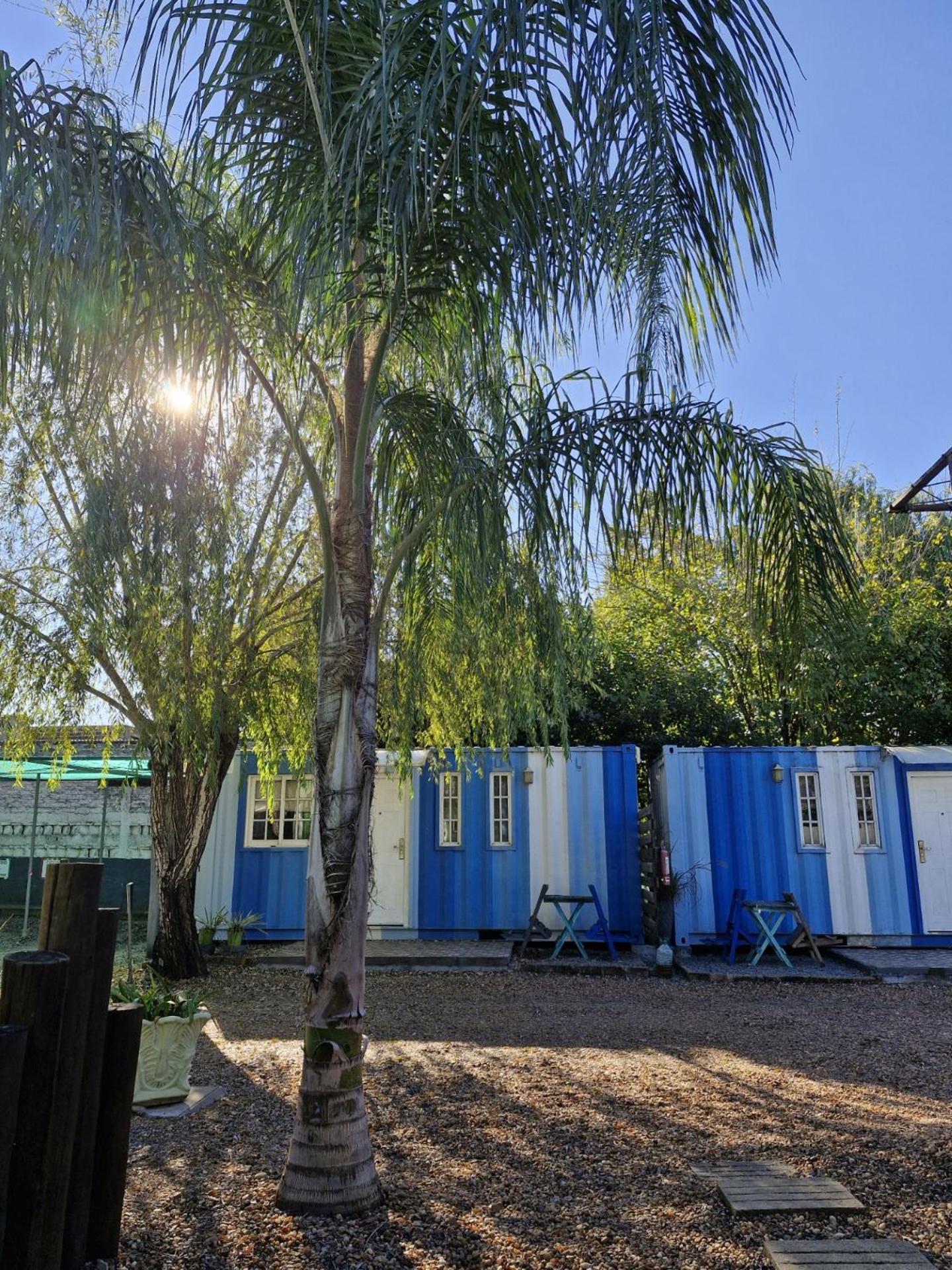 Squania Suite Container & Monoambientes Termas del Daymán Exterior foto